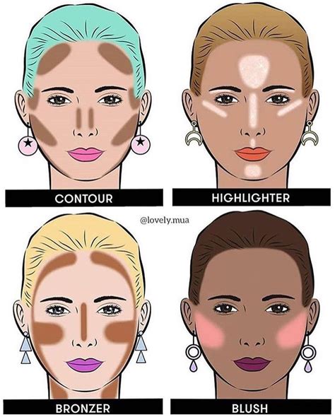 bronzer vs contour highlighter blush.